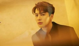 爆料王嘉尔视频,揭秘明星私下生活瞬间